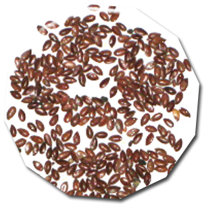 linseed